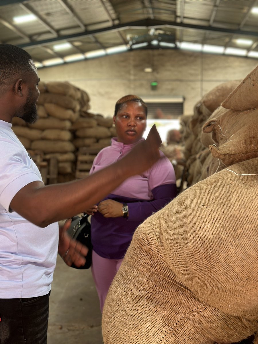 Theseunlijoka's tweet image. Back from a much-needed holiday and straight to the field.
Inspected goods ready for shipment at one of the aggregation hubs.
Nothing beats on-ground conversations when building sustainable export solutions.

#Agribusiness #NonOilExport #ExportReady #BackToWork #TheSeunLijoka