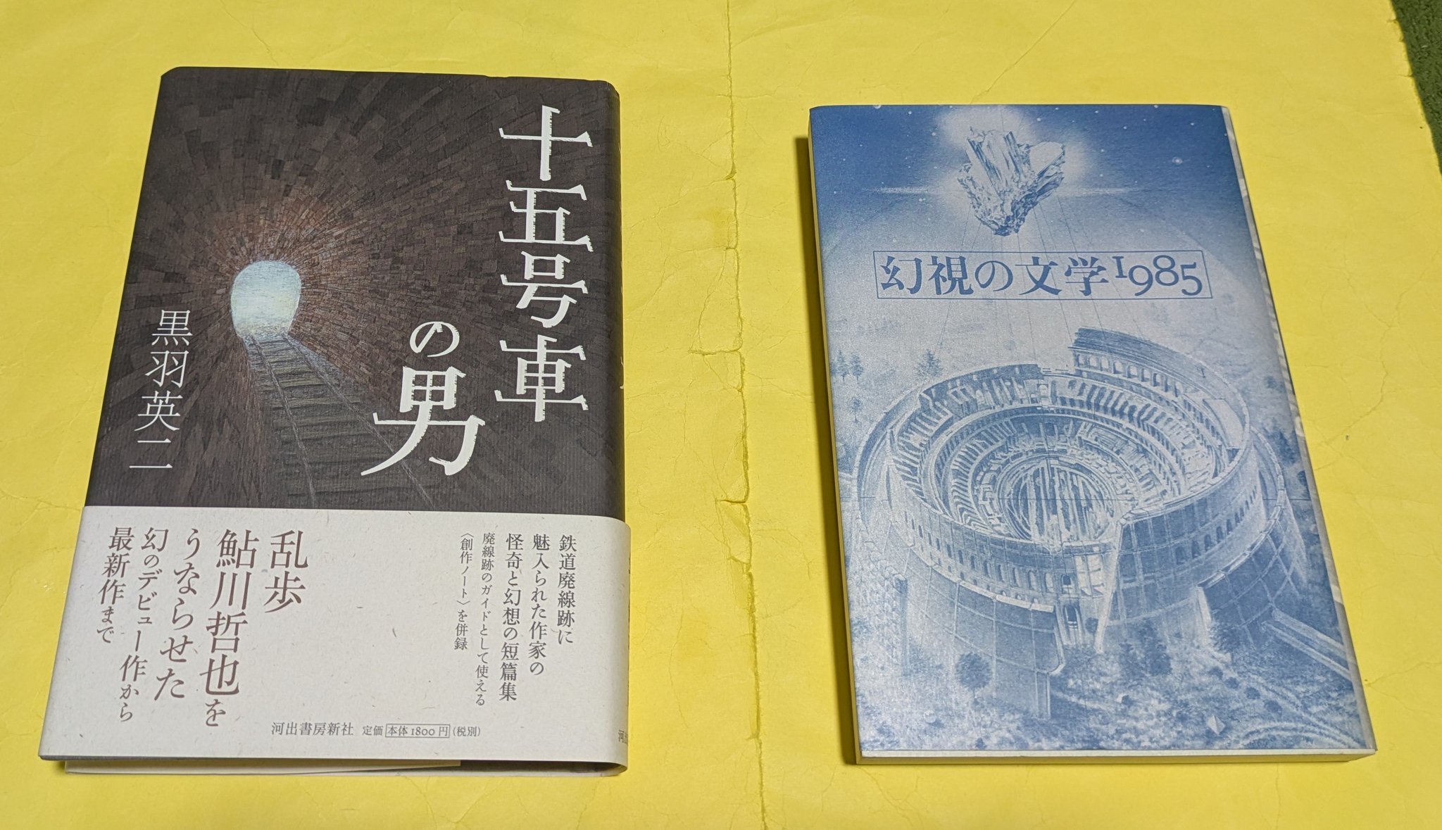 【中古】 声を嗄らす 英語をめぐるラプソディ/文芸社/羽溪想 中古】 声を嗄らす 英語をめぐるラプソディ/文芸社/羽溪想