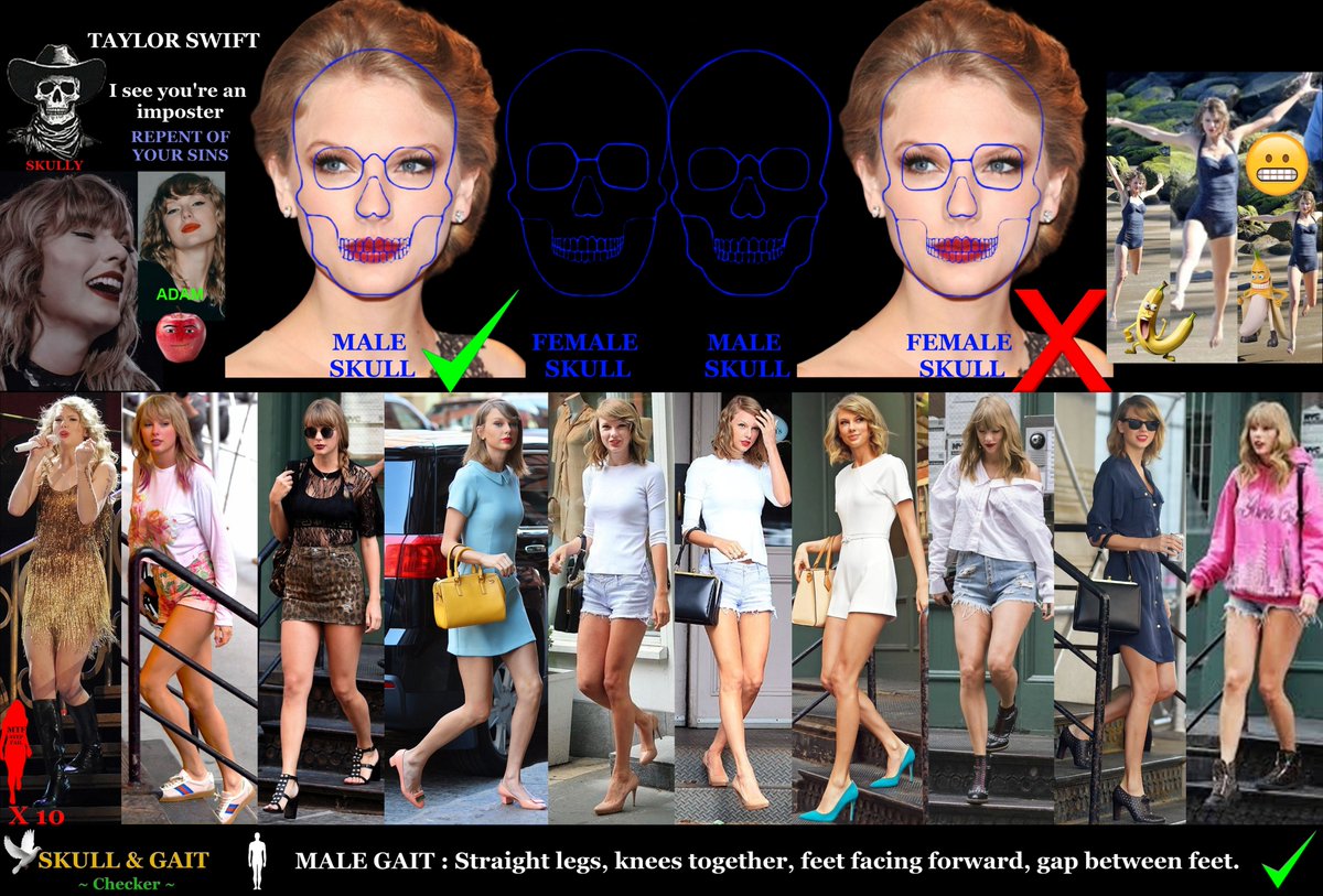 Taylor Alison Swift
American singer-songwriter, one of the best-selling music artists, the highest-grossing touring musician, and the wealthiest female musician—the first billionaire with music as the main income.
- Bio Male European skull fit and male gaits
#EGI #Forensics