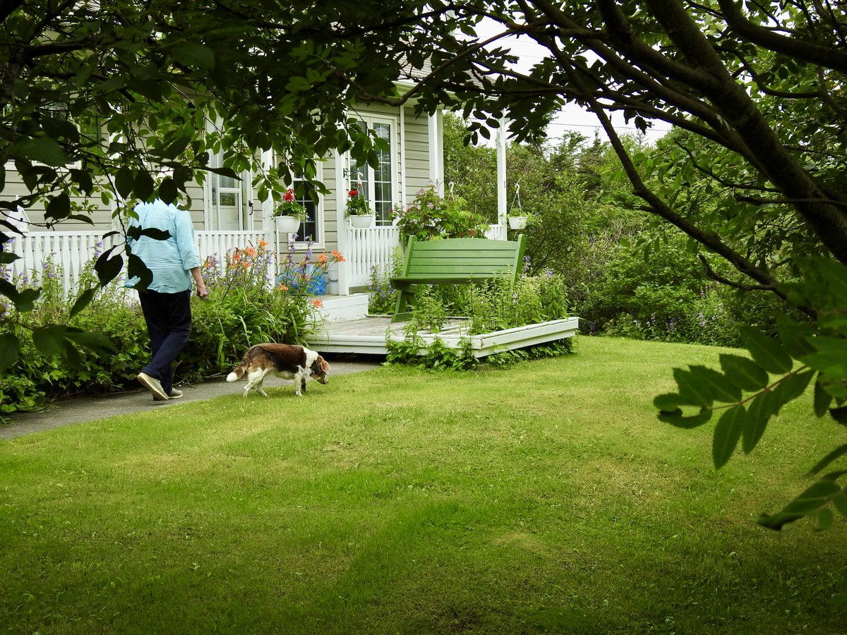 Stan Collins tweet media