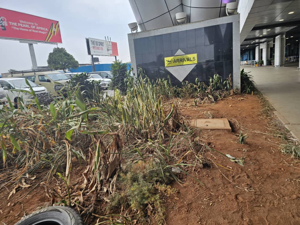 Sir Fred🇺🇬 (@kakoromanug) on Twitter photo <a href="/MoWT_Uganda/">Ministry of Works & Transport</a> <a href="/GenWamala/">General Edward Katumba Wamala</a> should we be concerned. Because people might begin urinating here. The gardens must be not looking like shrubs. We have better flowers. <a href="/Parliament_Ug/">Parliament of Uganda</a> <a href="/TonyNatif/">Anthony Natif</a> This is Arrivals, our guests must see how disorganized we are. <a href="/MoWT_Uganda/">Ministry of Works & Transport</a> <a href="/GenWamala/">General Edward Katumba Wamala</a> should we be concerned. Because people might begin urinating here. The gardens must be not looking like shrubs. We have better flowers. <a href="/Parliament_Ug/">Parliament of Uganda</a> <a href="/TonyNatif/">Anthony Natif</a> This is Arrivals, our guests must see how disorganized we are.