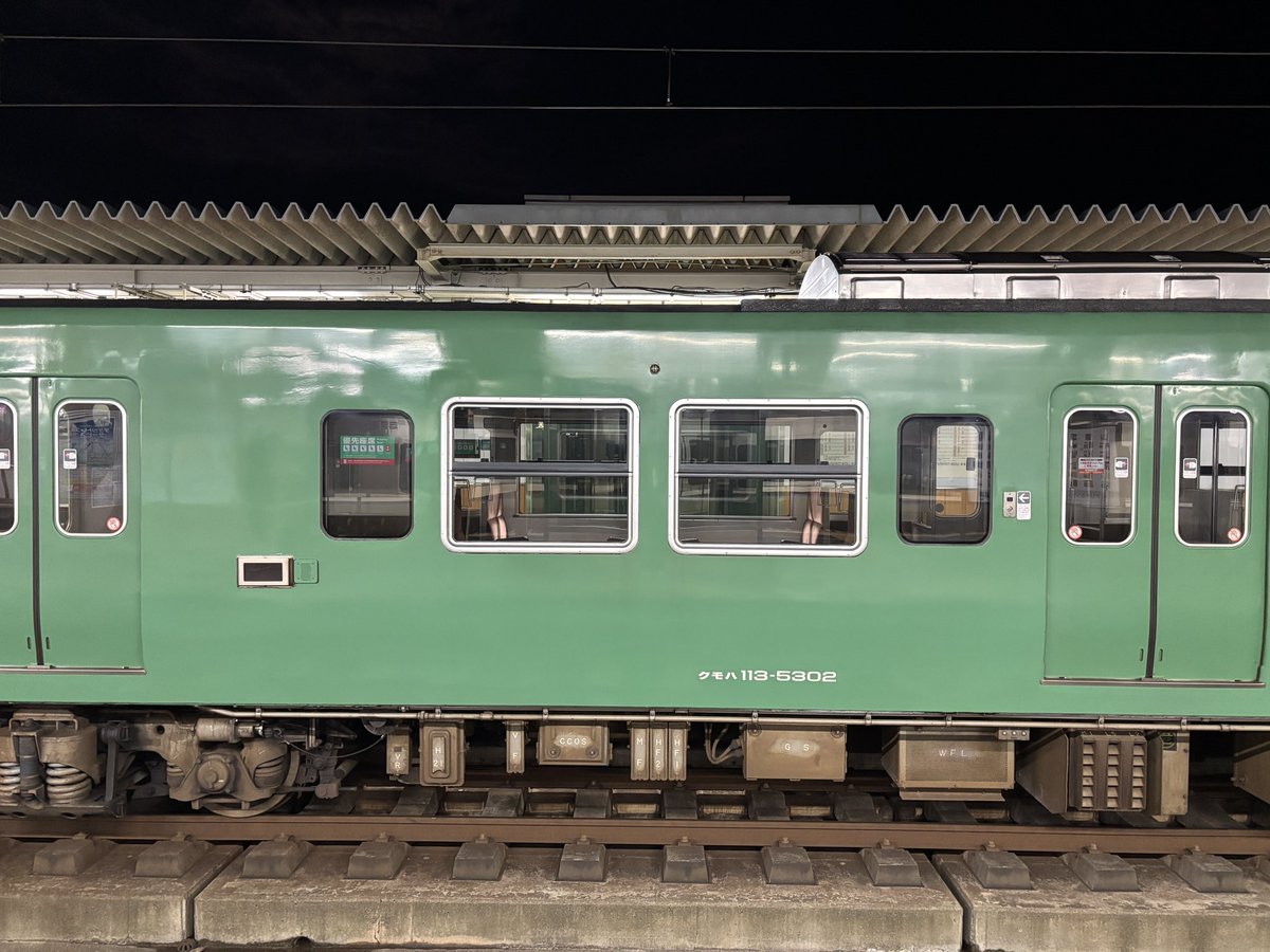 manual_3DPrint's tweet image. 突然113系の側面画像を流してTLを荒らしましょう！