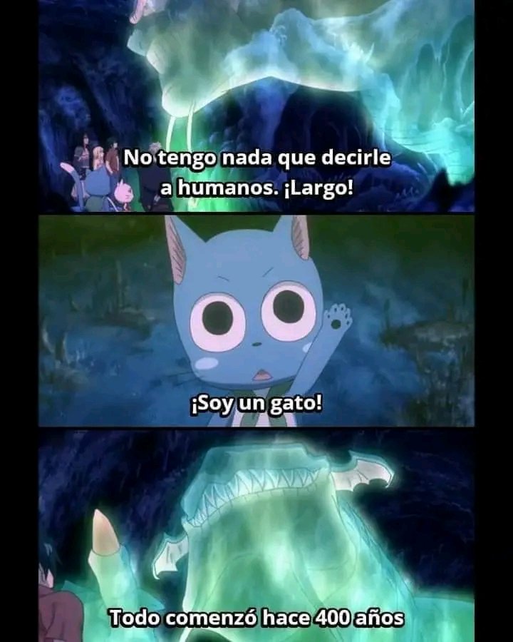 Para los gatos lo que sea y la información que sea 😎🐱🐾