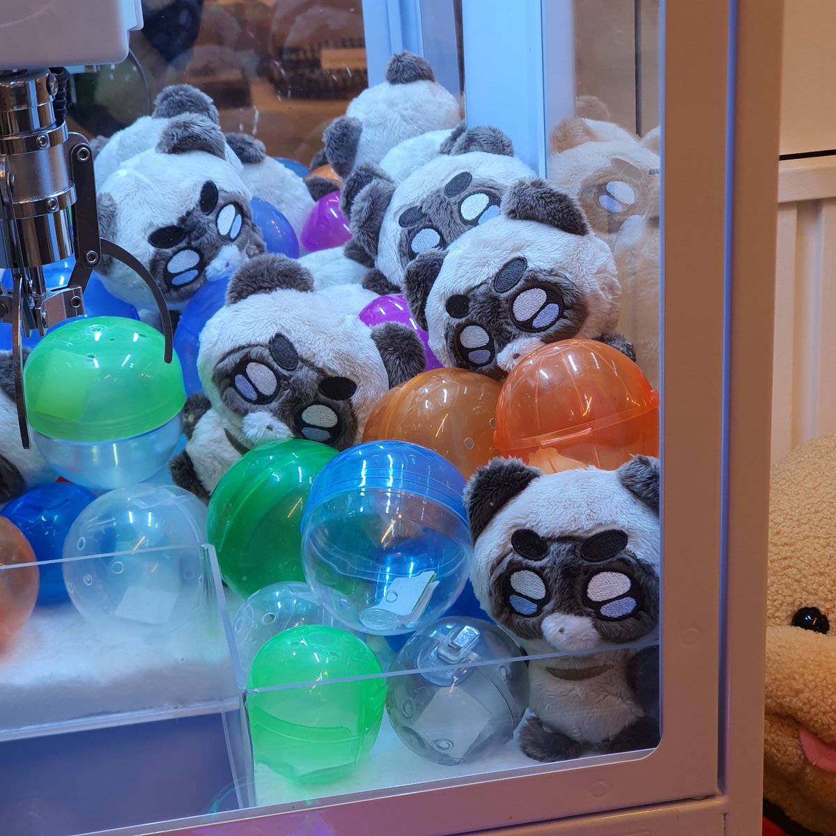 눈나 내일 저 뽑아주러 와야해오 σ̴̶̷̤ . σ̴̶̷̤ 💙