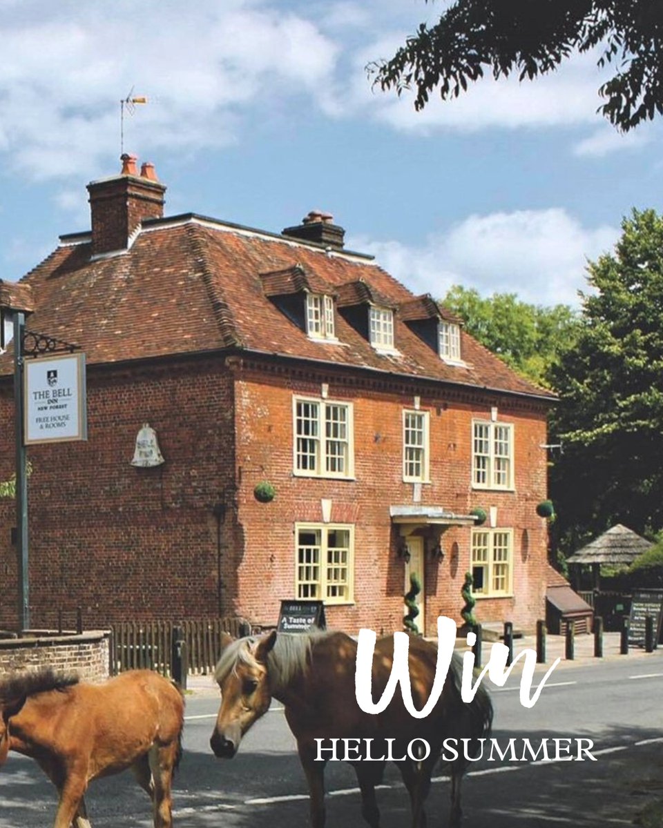 Muddy Norfolk (@muddynorfolk) on Twitter photo 🌟 Win a £500 New Forest stay with dinner, fizz & treatments at The Bell Inn 🌟
For one lucky Muddy reader and their even luckier guest we’ve snagged a gorgeous break – with dinner, bottle of fizz & spa treatments at <a href="/BellInnBramshaw/">The Bell Inn</a> 🥂
🚨 Enter here ➡️ bit.ly/4mpNpnk 🌟 Win a £500 New Forest stay with dinner, fizz & treatments at The Bell Inn 🌟
For one lucky Muddy reader and their even luckier guest we’ve snagged a gorgeous break – with dinner, bottle of fizz & spa treatments at <a href="/BellInnBramshaw/">The Bell Inn</a> 🥂
🚨 Enter here ➡️ bit.ly/4mpNpnk