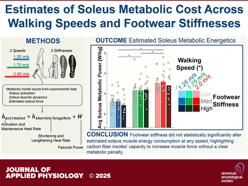 <a href="/DDavis_Biomech/">Danny Davis, PhD</a> et al. (<a href="/FranzBiomech/">Jason Franz</a> <a href="/KotaZTakahashi/">Kota Takahashi</a>) #Propulsion without penalty: greater #soleusforce with stiffer #footwear does not necessarily increase estimated #soleus #metabolic cost across #walking speeds
ow.ly/KmGg50WzEIG