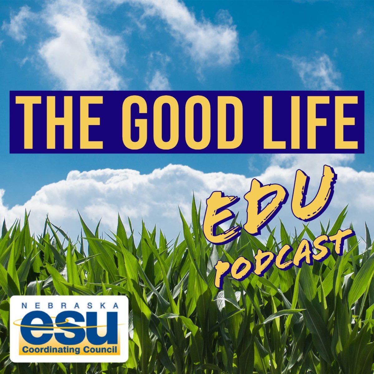 💥 ThriveinEDU Consulting #AI #STEM #ARVR (@thriveinedu) on Twitter photo Loved being a guest of <a href="/EastonA1/">Andrew Easton</a> on the Good Life EDU podcast. I share how educators can foster a culture of responsible AI use for staff & students in #K12 #AI #education #edtech #law #teaching @ISTEOfficial
🎙️bit.ly/TheGoodLifeEDU Loved being a guest of <a href="/EastonA1/">Andrew Easton</a> on the Good Life EDU podcast. I share how educators can foster a culture of responsible AI use for staff & students in #K12 #AI #education #edtech #law #teaching @ISTEOfficial
🎙️bit.ly/TheGoodLifeEDU