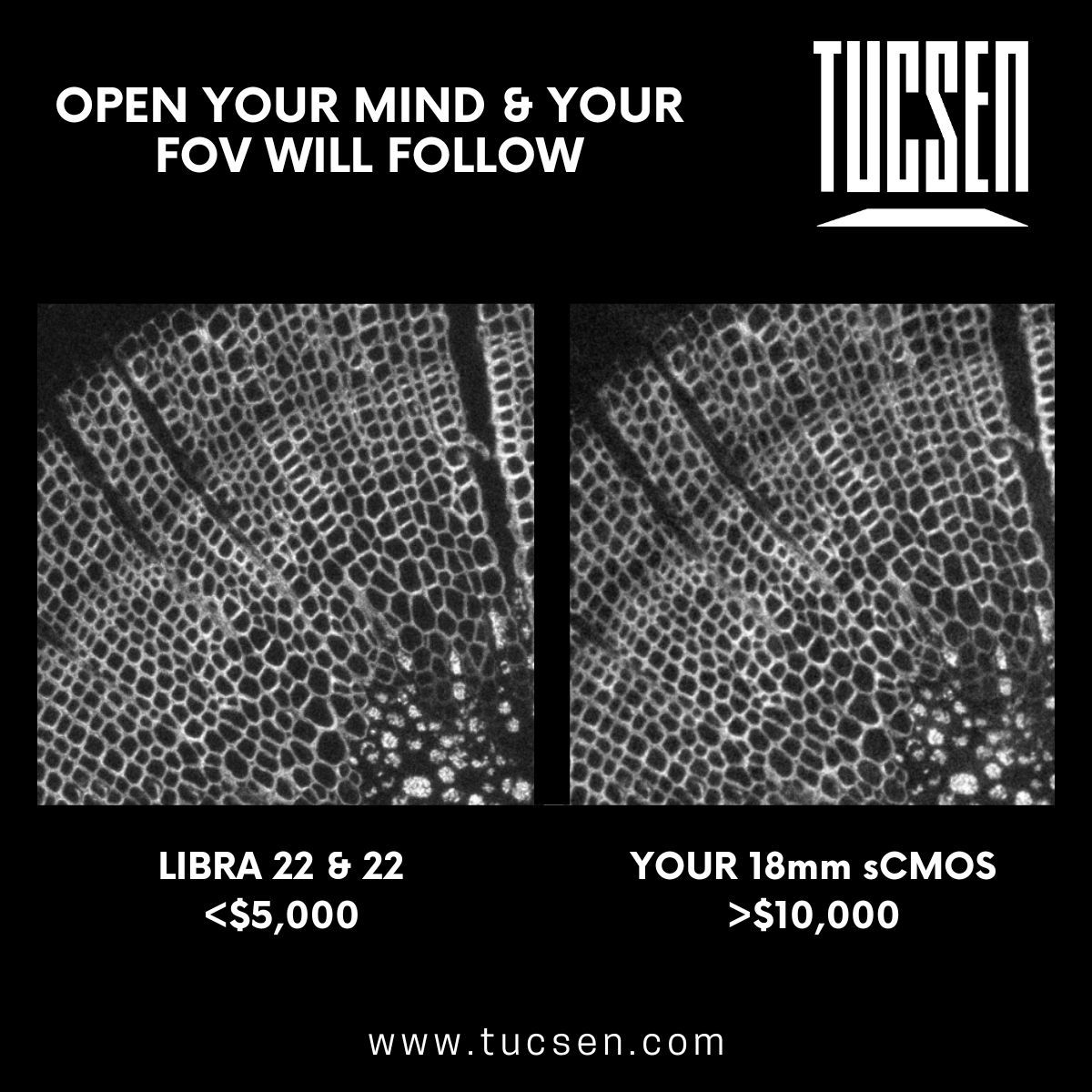 Just think - get a great cooled camera for 22 or 25mm FOV Imaging for less than $5000 

Find out more here: tucsen.com/libra-22-produ…