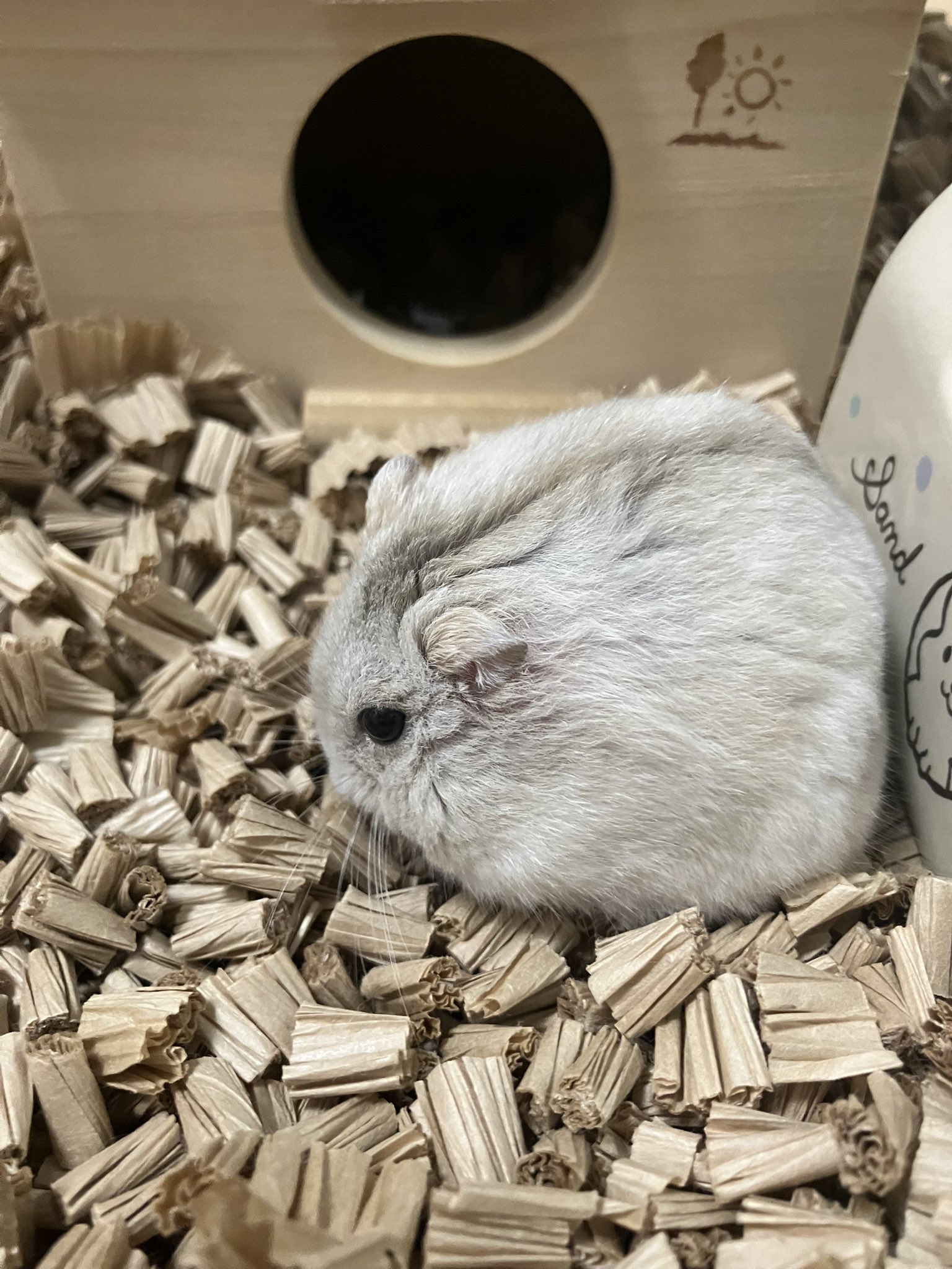 ホウ 【希少】マイセン 仔ネズミ ハムスターフィギュリン