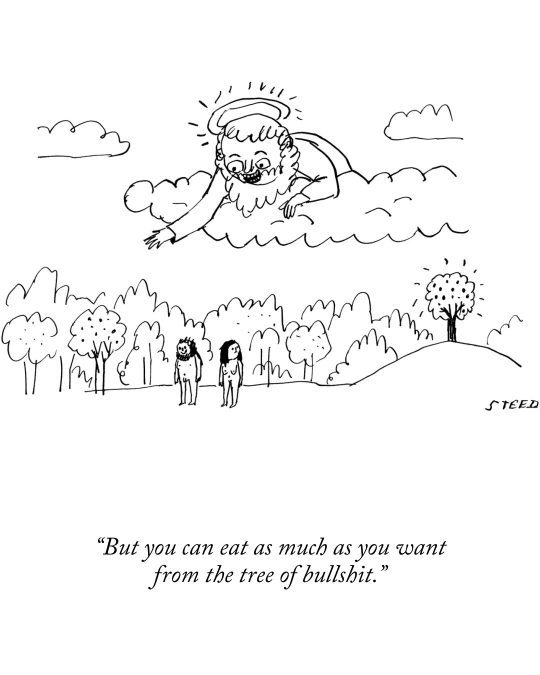 Edward Steed: The New Yorker