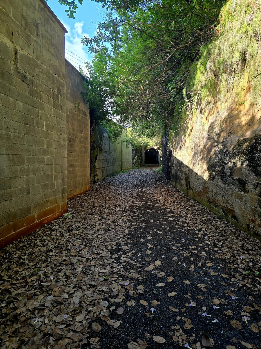 254crypt's tweet image. Evening walks!!