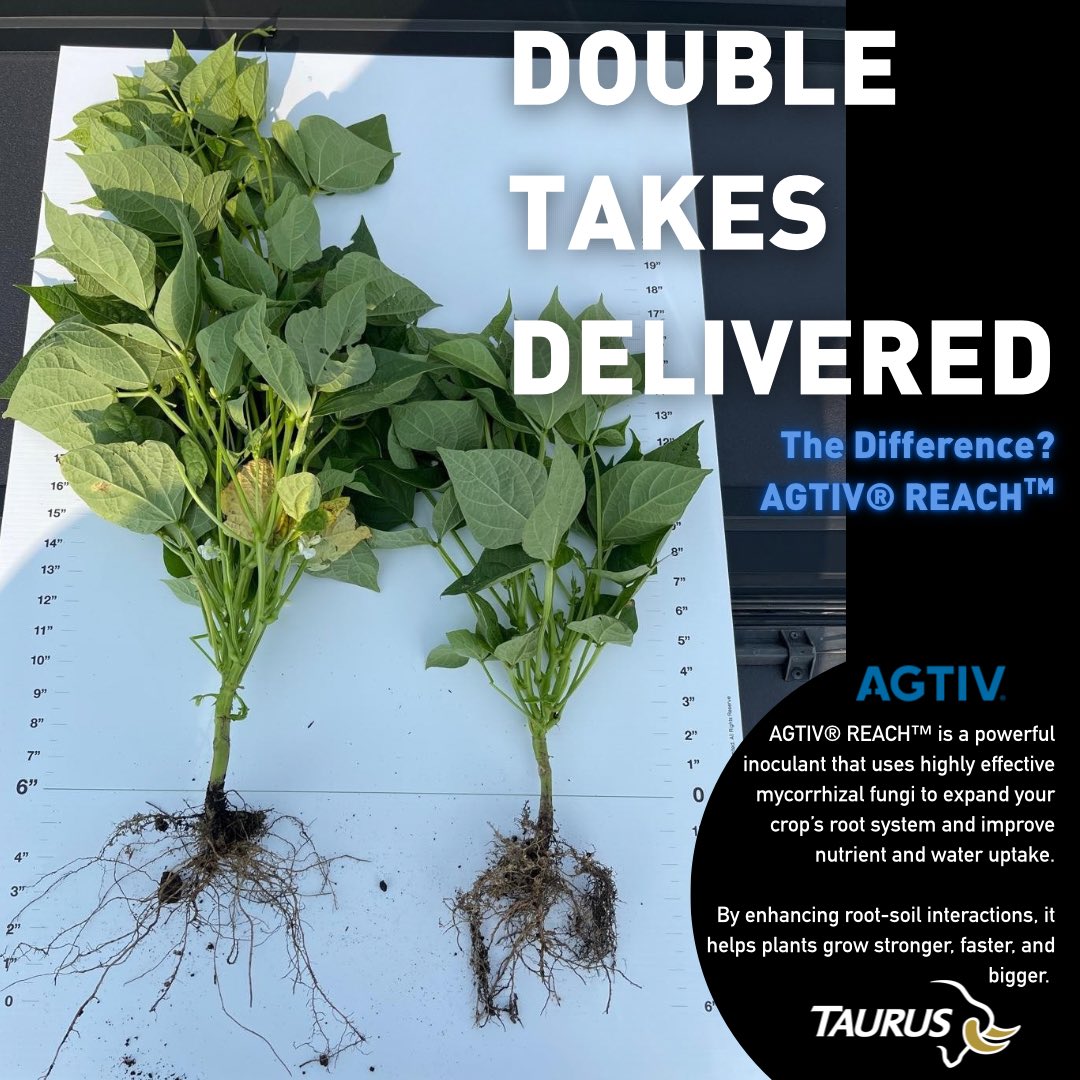 Plan it. Plant it. Push it further with AGTIV®.
Ask your local retail about inoculants that deliver results.

<a href="/PTAGTIV/">AGTIV</a>