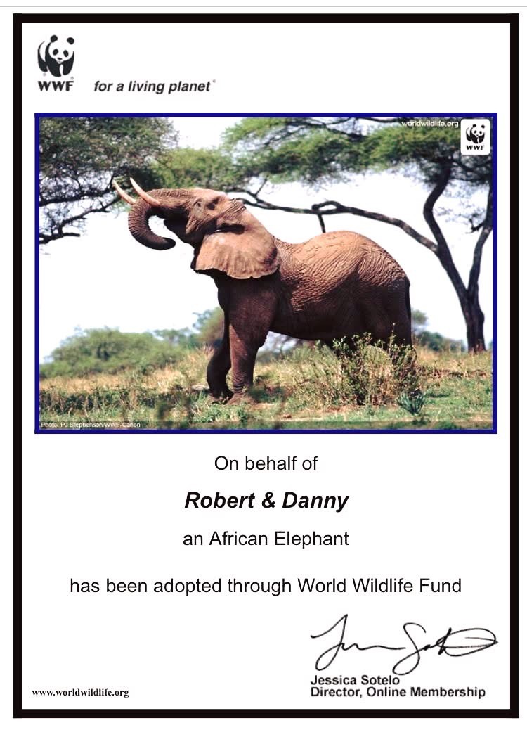 We adopted an elephant! When we told a new employee we were "Elephant Hunters" (a.k.a. we are seeking large, enterprise clients), she thought we were serious and was very upset. 🙃

This adoption was the result. #AdoptAnElephant through the World Wildlife Fund #TBT 💓
