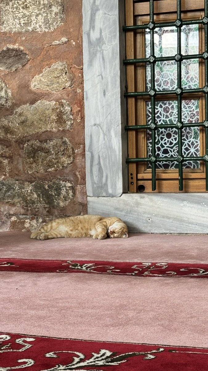 safları sıklaştıralım!!