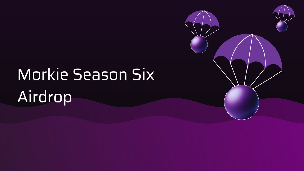 🔗 app.morkie.xyz/airdrop