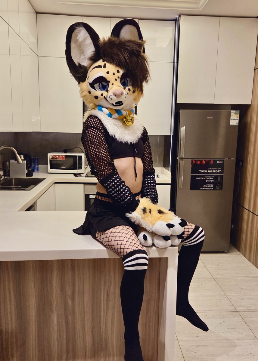 Who let the cat on the counter again? 🐾