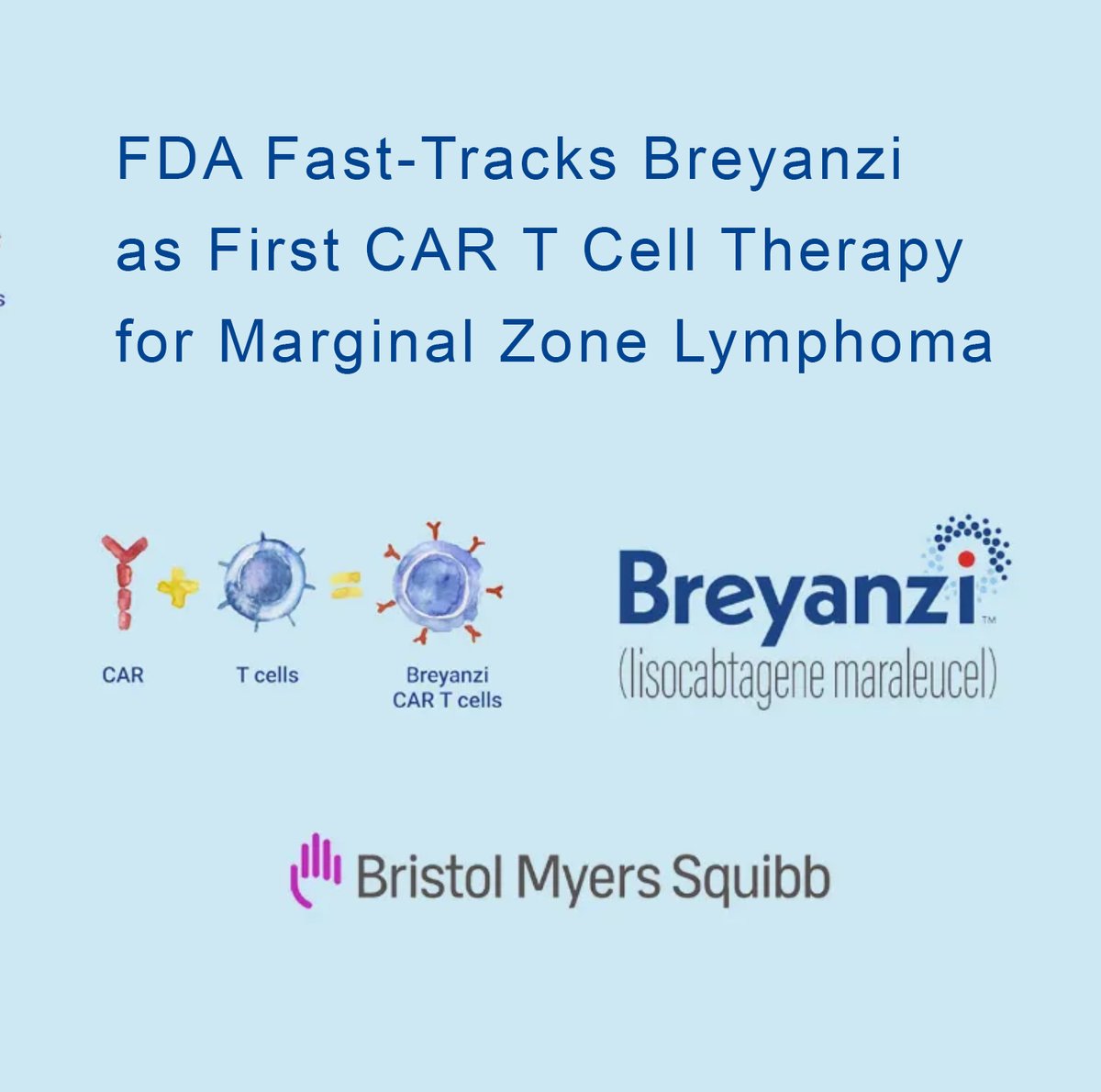 #FDA has accepted Bristol Myers Squibb’s Priority Review application for #Breyanzi® (#lisocabtagene #maraleucel) as a potential first-in-class #CART #celltherapy for relapsed or refractory marginal zone #lymphoma (#MZL). 
healthandpharma.net/fda-breyanzi-c…