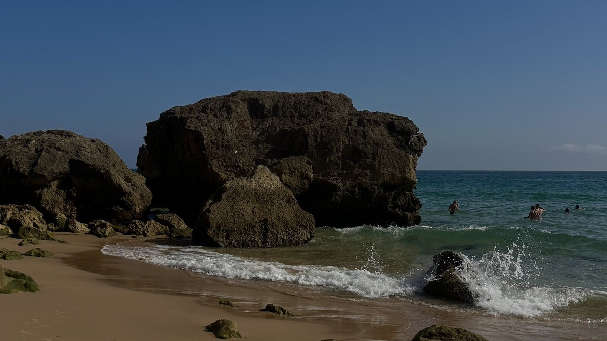 R7 🏄♂️ tweet media