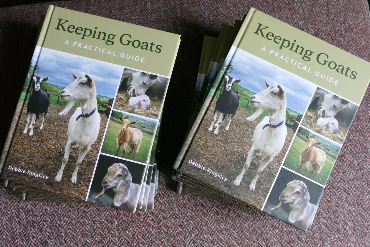 For today's #Farm24 I popped over to a friend with a heap of my Keeping Goats book so that Chagford Show will have some for sale on the 21st August.  Thinking ahead and all that!  If you're not going and still want a copy, I can provide one just for you smallholdertraining.co.uk/product/keepin…