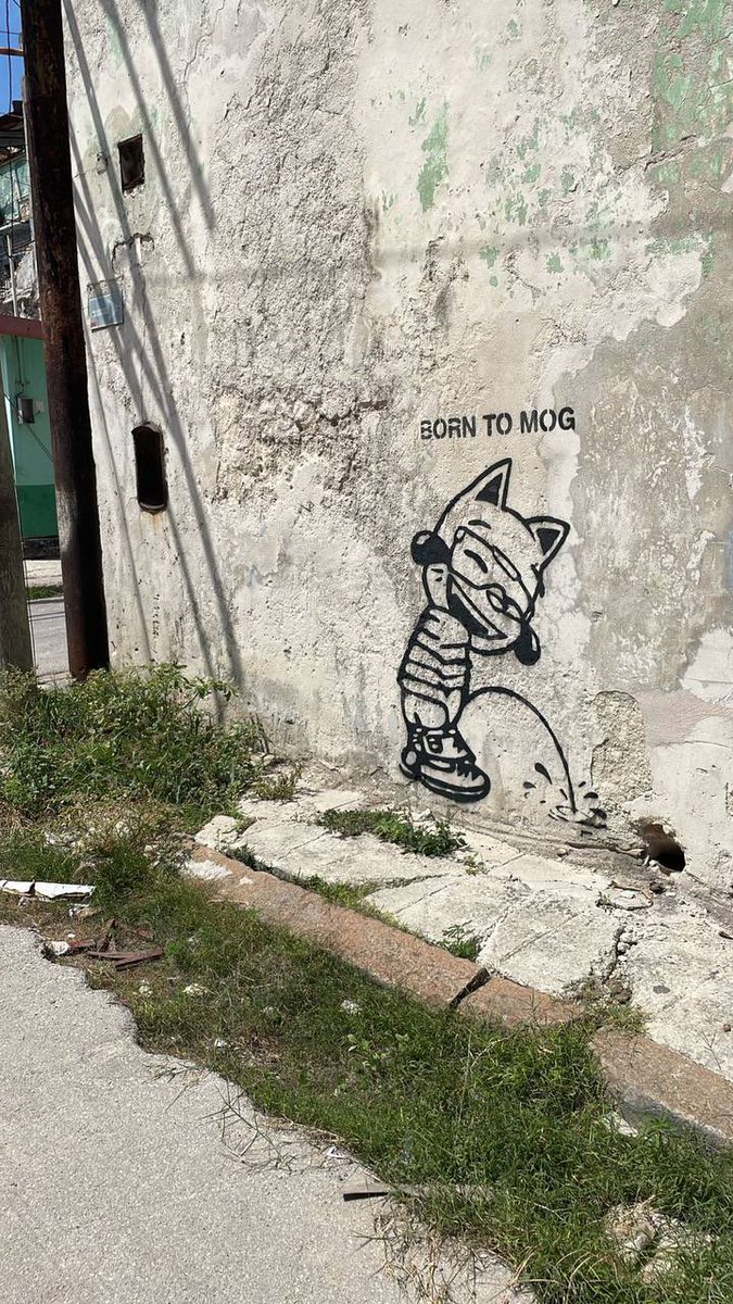 BORN TO MOG 

📍Habana, Cuba