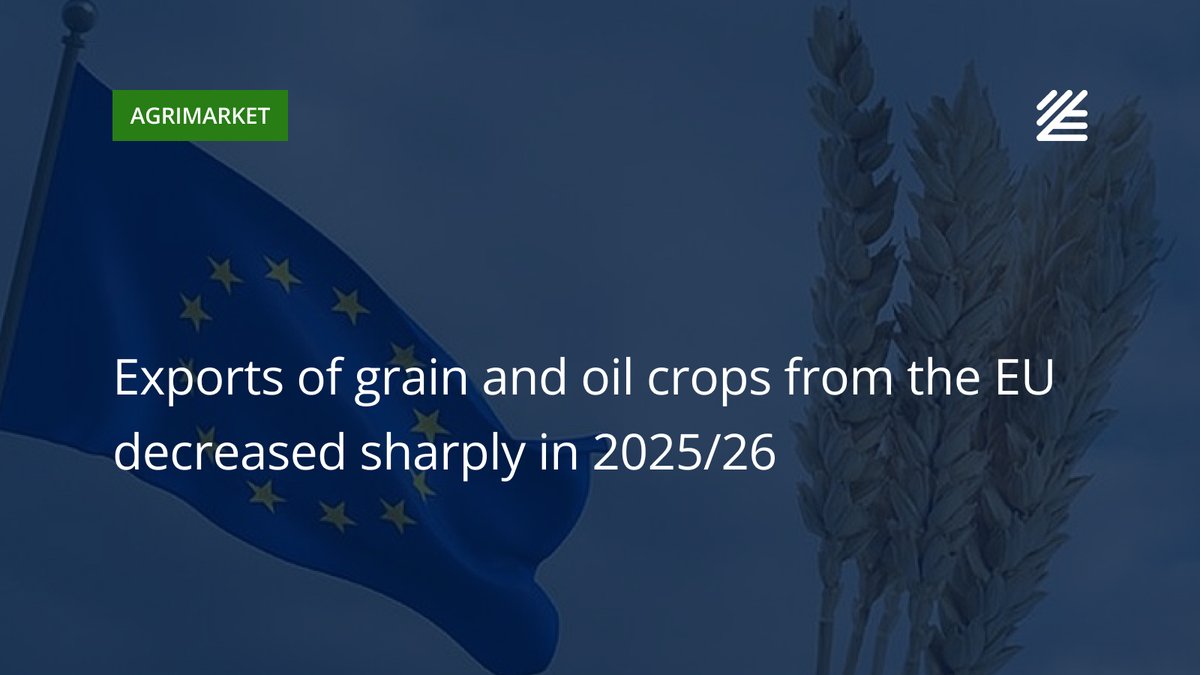 🇪🇺 #Exports of #grains and #oilseeds from the #EU have fallen sharply

Exports of soft #wheat decreased by 58% to 1.1 mln tons, #barley - by 13% to 950 thsd tons, #corn - by 67% to only 37 thsd tons. 

Read more 👉surl.li/mjjvtd
