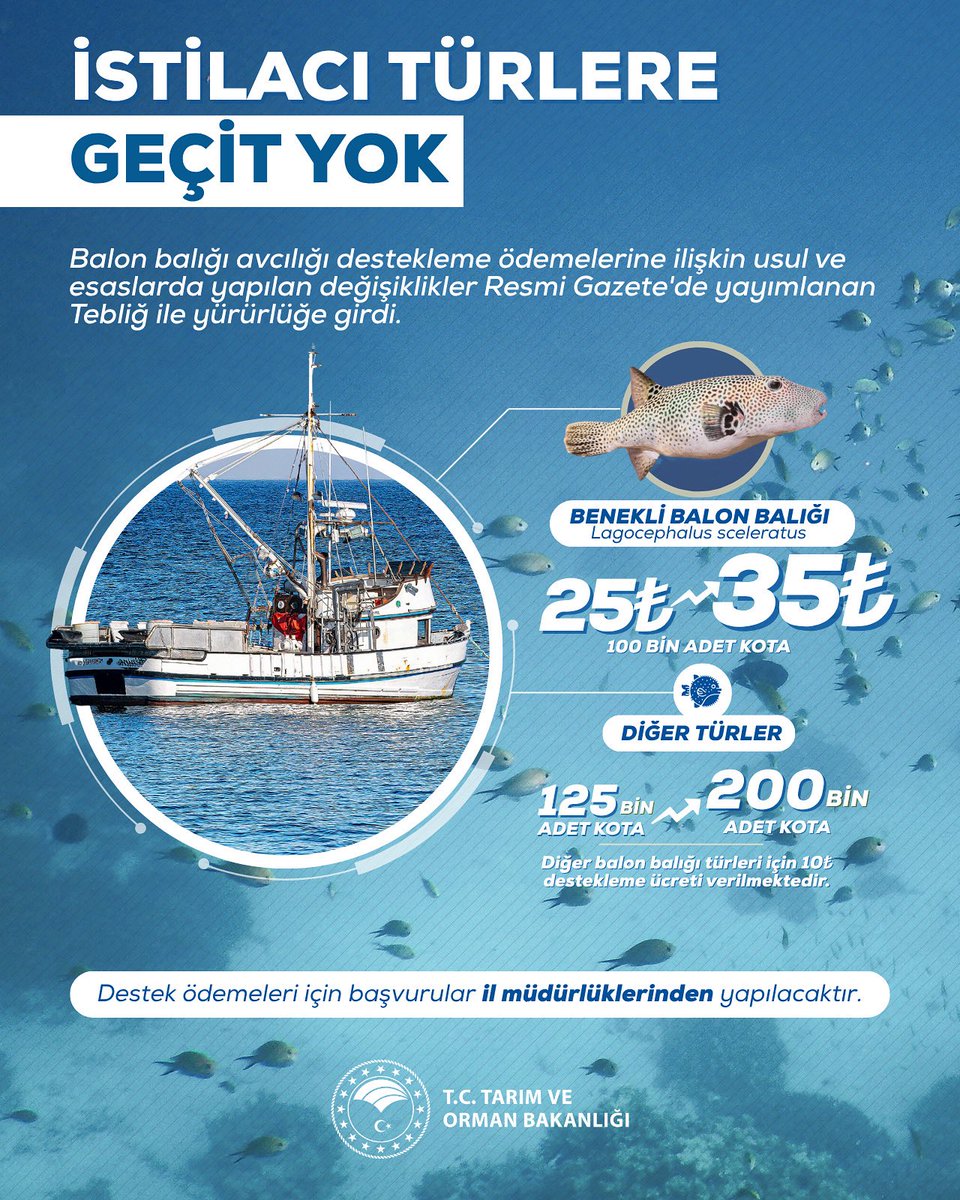 📜 Balon Balığı Avcılığının Desteklenmesine İlişkin Tebliğ’de yapılan değişiklikler, Resmî Gazete’de yayımlanarak yürürlüğe girdi.

📈 Benekli balon balığı avcılığı destekleme tutarını 25 TL’den 35 TL’ye yükselttik.

🎯 Diğer türlerde ise kota miktarını 125 bin adetten 200 bin