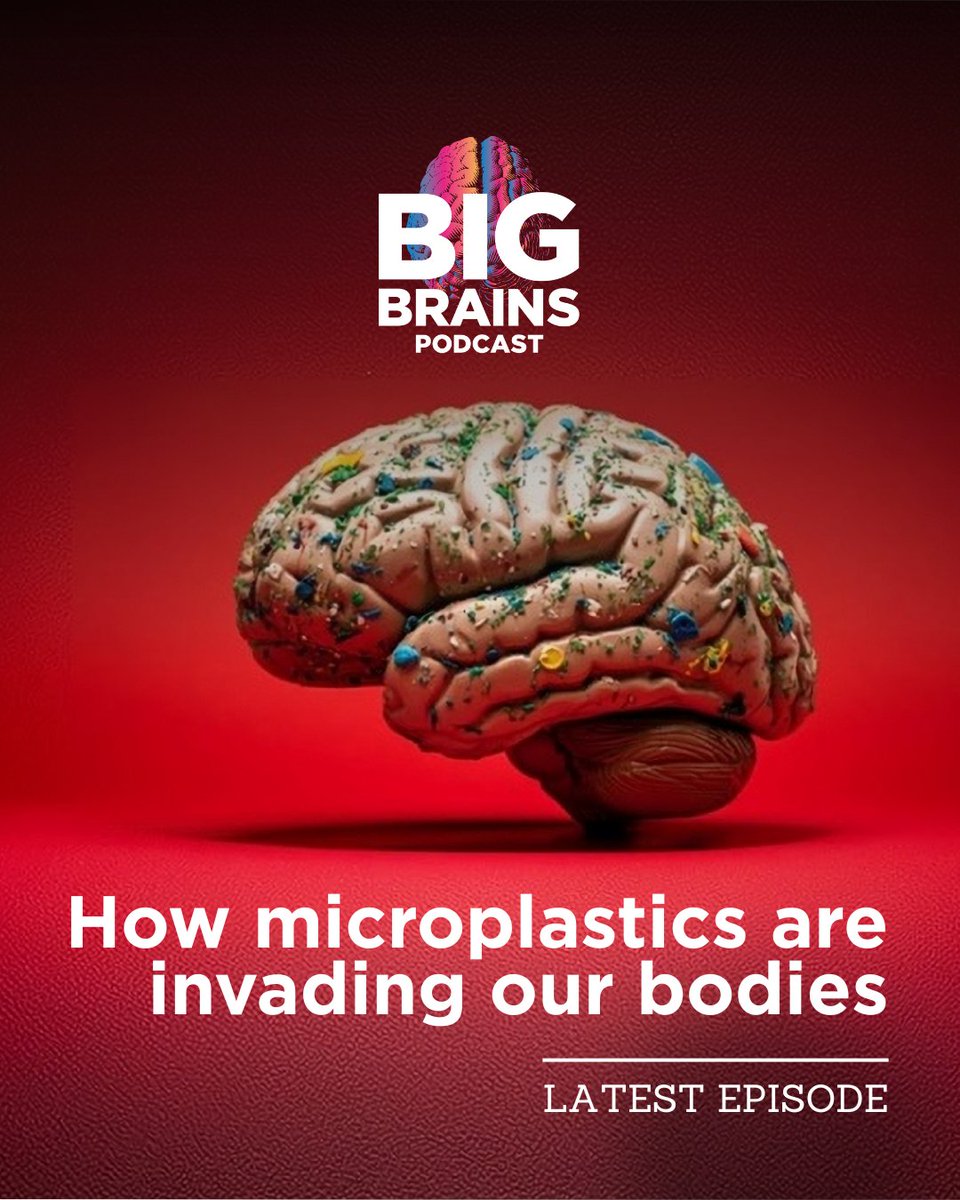 Microplastics are making their way deep into the body—reaching places including the brain. And it’s not just trace amounts—we’re talking the equivalent of a plastic spoon. On <a href="/BigBrainsUC/">Big Brains Podcast</a>, <a href="/UNM/">Univ. of New Mexico</a>'s Matthew Campen reveals how plastic is impacting your health. ms.spr.ly/6016s3Udm
