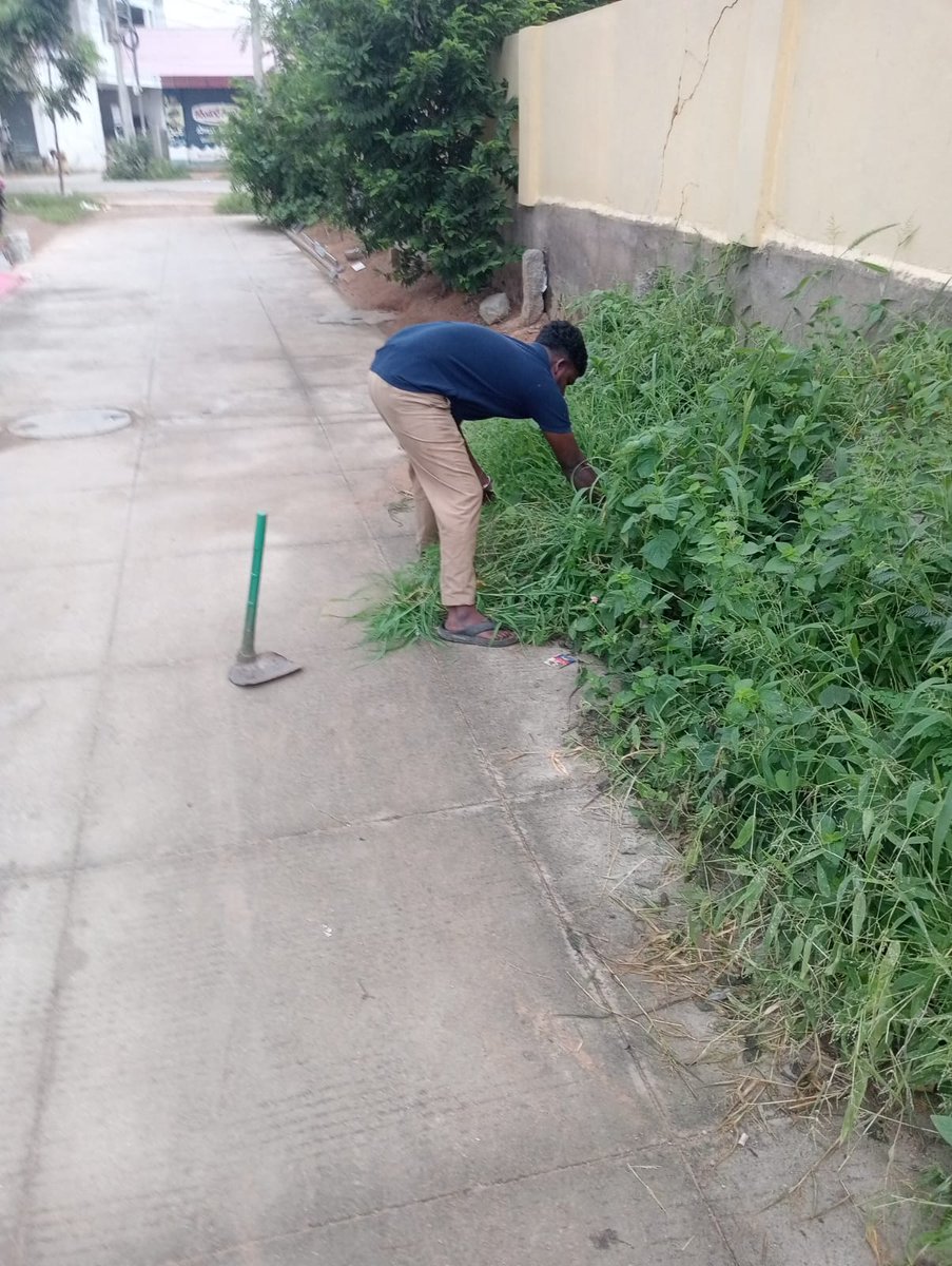 Swachh Siddipet (@mc_siddipet) on Twitter photo రోడ్డుకు ఇరువైపులా మరియు మురికి కాలువ చుట్టూ పిచ్చి మొక్కలను , చీదు తొలగిస్తున్న పారిశుద్ధ్య సిబ్బంది
<a href="/cdmatelangana/">C&DMA</a> <a href="/tksreedevi/">TK Sreedevi</a> <a href="/RoopaMishra77/">Roopa Mishra</a> <a href="/VivekVenkatswam/">Dr Vivek Venkatswamy</a> <a href="/Ponnam_INC/">Ponnam Prabhakar</a> <a href="/BRSHarish/">Harish Rao Thanneeru</a> <a href="/Collector_SDPT/">Collector Siddipet</a> <a href="/AcSiddipet/">AC_Siddipet</a> <a href="/SwachhBharatGov/">Swachh Bharat Urban</a> <a href="/SwachSurvekshan/">Swachh Survekshan</a> రోడ్డుకు ఇరువైపులా మరియు మురికి కాలువ చుట్టూ పిచ్చి మొక్కలను , చీదు తొలగిస్తున్న పారిశుద్ధ్య సిబ్బంది
<a href="/cdmatelangana/">C&DMA</a> <a href="/tksreedevi/">TK Sreedevi</a> <a href="/RoopaMishra77/">Roopa Mishra</a> <a href="/VivekVenkatswam/">Dr Vivek Venkatswamy</a> <a href="/Ponnam_INC/">Ponnam Prabhakar</a> <a href="/BRSHarish/">Harish Rao Thanneeru</a> <a href="/Collector_SDPT/">Collector Siddipet</a> <a href="/AcSiddipet/">AC_Siddipet</a> <a href="/SwachhBharatGov/">Swachh Bharat Urban</a> <a href="/SwachSurvekshan/">Swachh Survekshan</a>