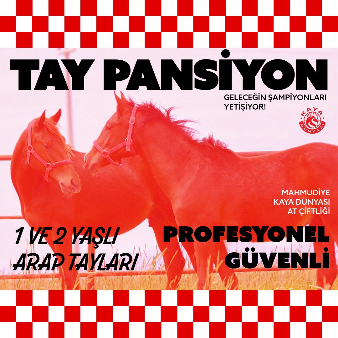 Birçok başarılı Arap atının yetiştiği Kaya Dünyası At Çiftliğinde tay pansiyon hizmetimiz devam etmektedir.

🐎 1 ve 2 yaşlı Arap tayları için boş kontenjanımız bulunmaktadır. 

Profesyonel Bakım ve İdeal Gelişim Ortamı
Doğayla İç İçe, Güvenli bir Çiftlik Alanı

İletişim: