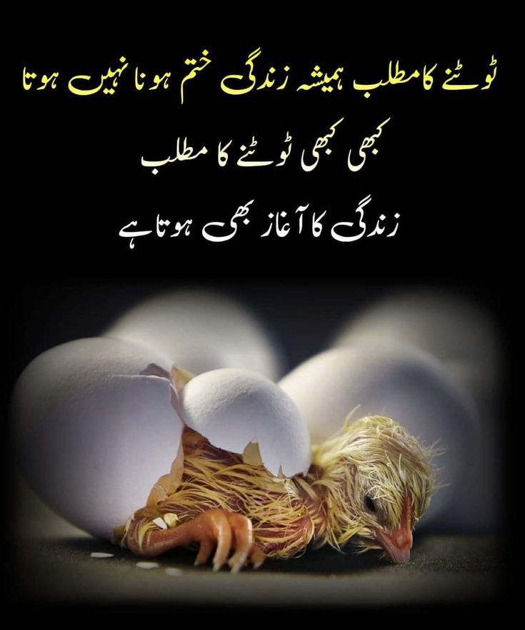 خانم (@khanmhon) on Twitter photo ٹوٹنےکا مطلب ہمیشہ زندگی ختم ہونا نہیں ہوتا کبھی کبھی ٹوٹنے کا مطلب زندگی کا آغاز بھی ہوتا ہے
#داستان_دل
<a href="/1awaz__/">𝐀𝐫𝐲𝐚𝐧 𝐩𝐭𝐢</a> <a href="/55imaan/">亗『 ᵀᵉᵃᵐᴸᴸᴾ ایمان 』亗</a> <a href="/Baj_1_/">فیروزہ</a> <a href="/M_PT11/">Muntaha PTi 🪐</a> <a href="/Khurshe78639/">Nasar.khan.Lover</a> <a href="/m_ather23/">M.Ather Rajpoot</a> <a href="/Innocen15346025/">إِيَّاكَ نَعْبُدُ وَإِيَّاكَ نَسْتَعِينُ</a> <a href="/Saif_pit/">Saif Ullah Warraichᵀᵉᵃᵐᴸᴸᴾ</a> <a href="/Its___IK/">𝓘𝓼𝓂𝒶𝒾𝓁 𝐾ℎ𝑎𝑛ᴵᴷ 🇵🇰</a> <a href="/A_iz_al/">𝕬𝖎𝖟𝖆𝖑</a> <a href="/r_zainiii/">🇵🇰zAiN</a> <a href="/Qursum_12/">ᵀᵉᵃᵐᴸᴸᴾ🦋قرثمPTI</a> <a href="/MaharH903612/">جزیرہ درد</a> <a href="/Ni_azi_/">Aمir</a> <a href="/PariJaan804/">zobi khan niazi</a> <a href="/wajizafar/">Vaciha Zafer</a> ٹوٹنےکا مطلب ہمیشہ زندگی ختم ہونا نہیں ہوتا کبھی کبھی ٹوٹنے کا مطلب زندگی کا آغاز بھی ہوتا ہے
#داستان_دل
<a href="/1awaz__/">𝐀𝐫𝐲𝐚𝐧 𝐩𝐭𝐢</a> <a href="/55imaan/">亗『 ᵀᵉᵃᵐᴸᴸᴾ ایمان 』亗</a> <a href="/Baj_1_/">فیروزہ</a> <a href="/M_PT11/">Muntaha PTi 🪐</a> <a href="/Khurshe78639/">Nasar.khan.Lover</a> <a href="/m_ather23/">M.Ather Rajpoot</a> <a href="/Innocen15346025/">إِيَّاكَ نَعْبُدُ وَإِيَّاكَ نَسْتَعِينُ</a> <a href="/Saif_pit/">Saif Ullah Warraichᵀᵉᵃᵐᴸᴸᴾ</a> <a href="/Its___IK/">𝓘𝓼𝓂𝒶𝒾𝓁 𝐾ℎ𝑎𝑛ᴵᴷ 🇵🇰</a> <a href="/A_iz_al/">𝕬𝖎𝖟𝖆𝖑</a> <a href="/r_zainiii/">🇵🇰zAiN</a> <a href="/Qursum_12/">ᵀᵉᵃᵐᴸᴸᴾ🦋قرثمPTI</a> <a href="/MaharH903612/">جزیرہ درد</a> <a href="/Ni_azi_/">Aمir</a> <a href="/PariJaan804/">zobi khan niazi</a> <a href="/wajizafar/">Vaciha Zafer</a>
