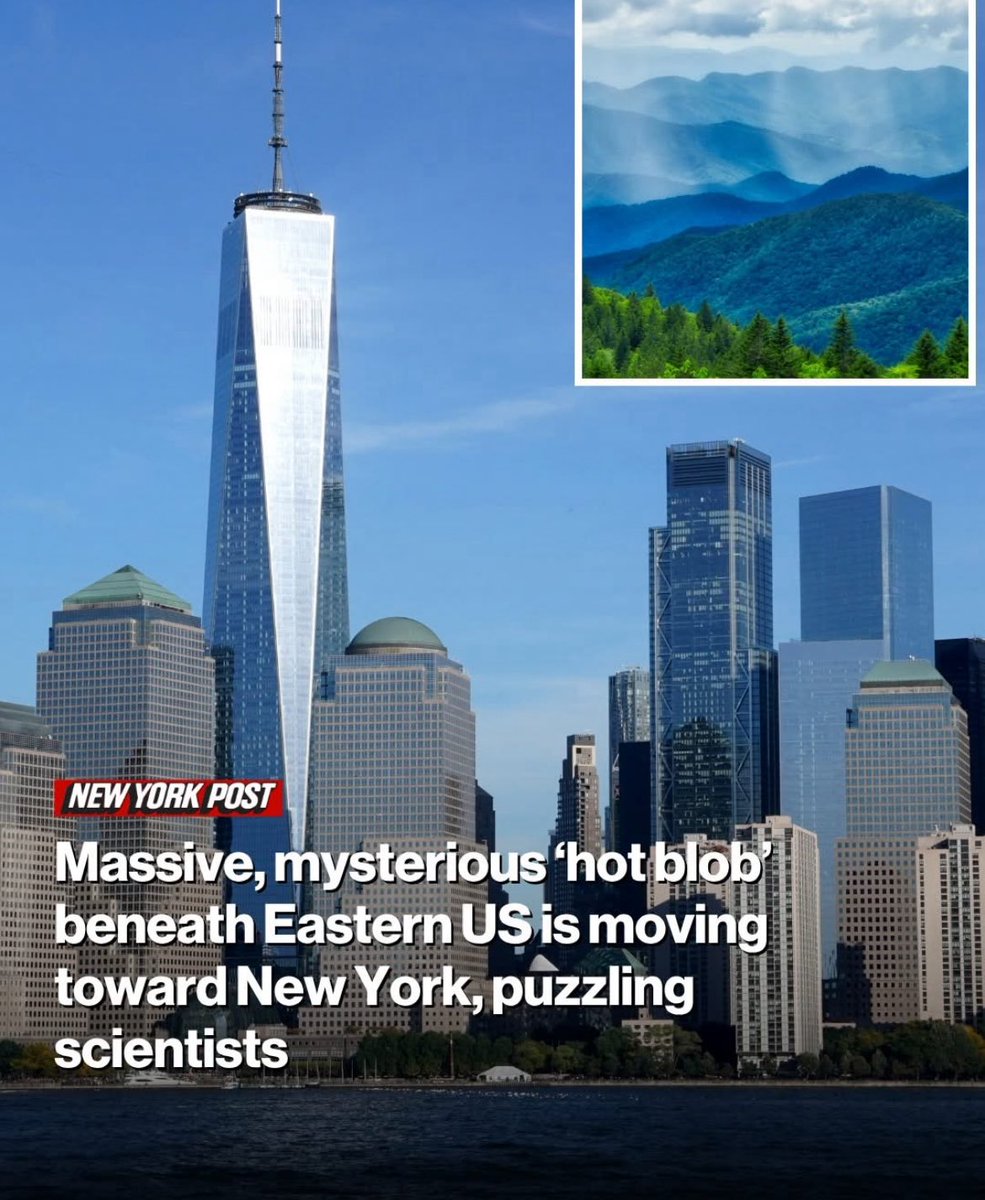 SinclairNorton's tweet image. NY knows I put on weight and still look good. It’s gonna be #HotBlob Fall