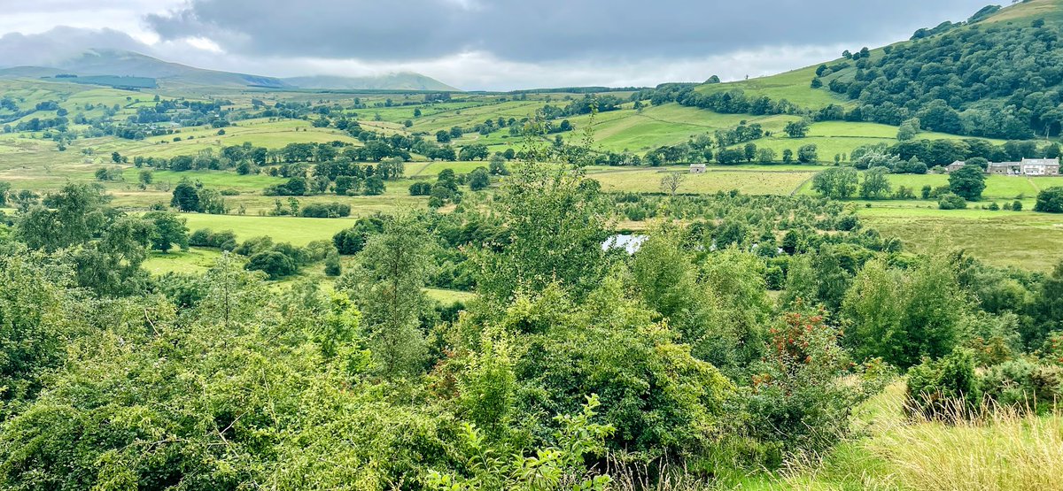 Looking over #Matterdale and it's not hard to see why folk love this place

 The heritage, the farms, community, people, the nature, and maybe also the fact that we're grown up enough to sometimes agree to disagree, yet still work together to create something amazing.