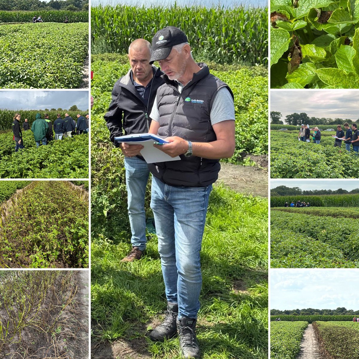 Veel belangstelling bij onze Phytophthora-proef in Ruinen. Sterke resultaten van Ranman Top, Sporax, Cymbal én ons nieuwe middel in ontwikkeling. Goed om samen kennis te delen en vooruit te kijken!
#Phytophthora #Akkerbouw #RanmanTop #Sporax #GrowingTogether