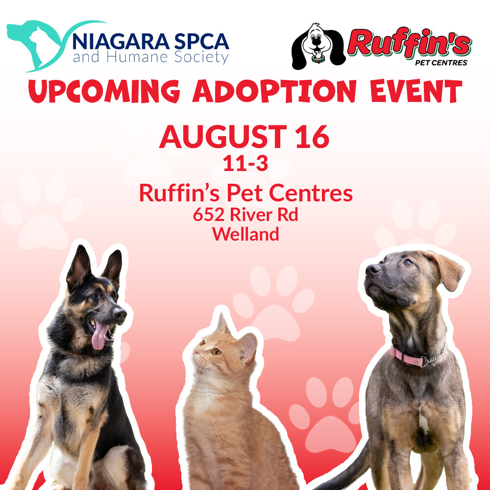 Thank you @ruffinswelland for your generous donation of much needed KMR (kitten milk replacement)! Looking forward to a successful adoption event next Saturday, August 16th!