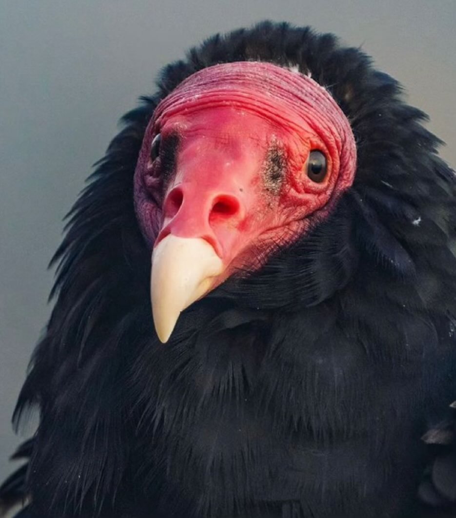 my aunt in her faux fur coat