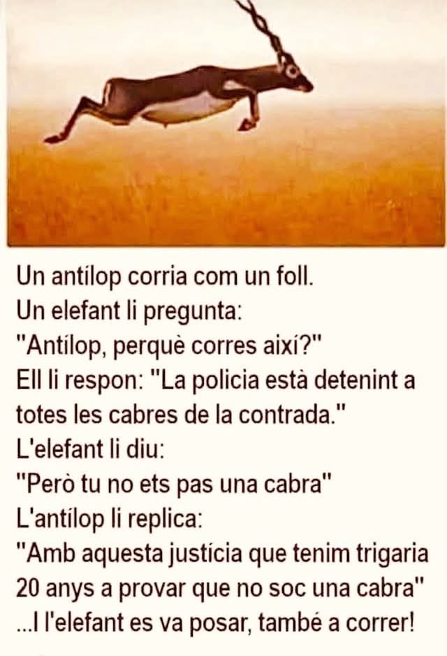 Chema Clavero (@jm_clavero) on Twitter photo Descripció del sistema judicial espanyol Descripció del sistema judicial espanyol