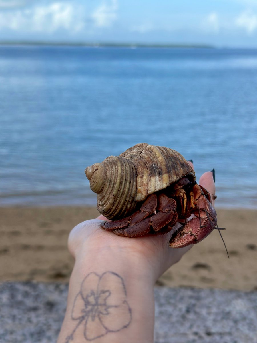 ①RirisuAmanoブレンダ大阪/東京 tweet media