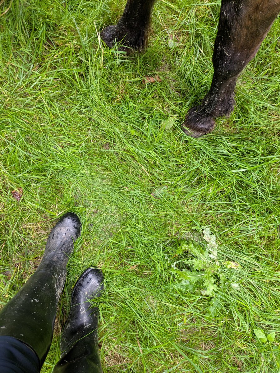 Stiefelherrin77's tweet image. Antreten, hinknien,die Stiefel sauber lecken und natürlich senden nicht vergessen!!!
#Herrin Reitherrin #Reitstiefel #ridingboots #beta #Loser #zahlsau