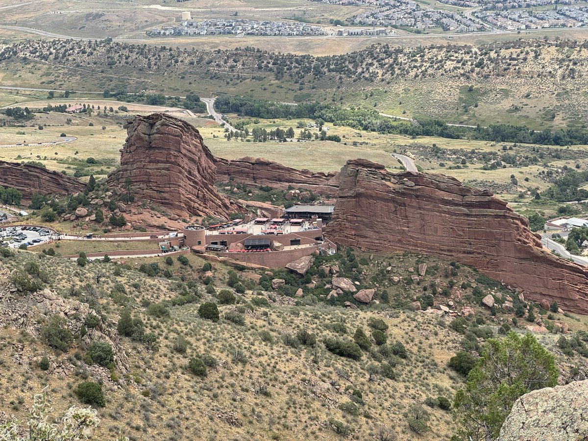 Golden in summer🌟