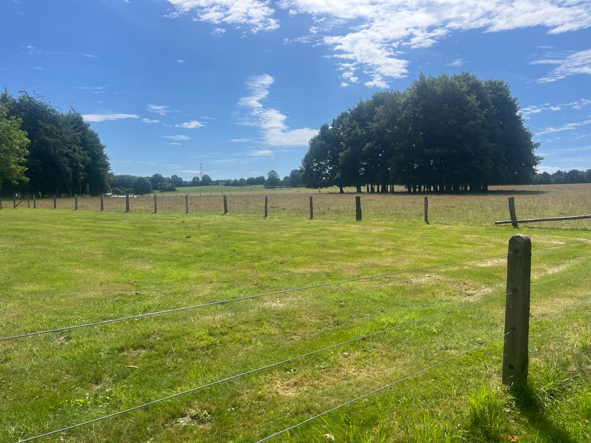 Alexandra Churchill ✌🏼⭐️⭐️ tweet media