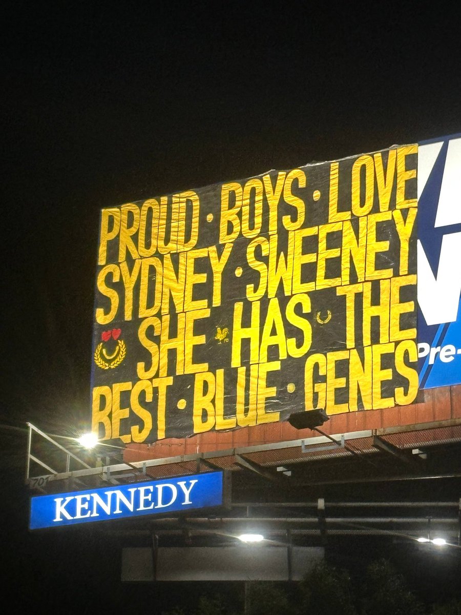 NobleOne's tweet image. 🔴🔴🔴

The digital battlefield of @X and other platforms is dominated by “popular” voices celebrated for their witty posts, viral video edits, and clever memes. You know them because they entertain, provoke laughter, or spark new perspectives. They are vital warriors in the…