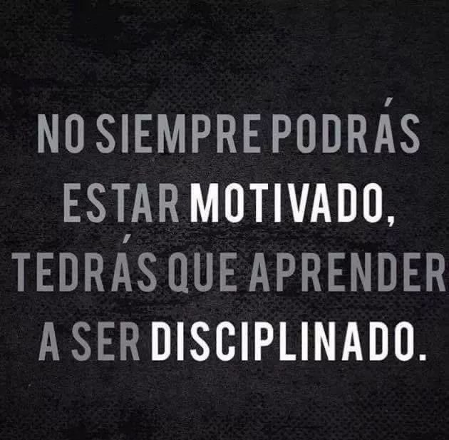 Disciplina (@eligedisciplina) on Twitter photo 