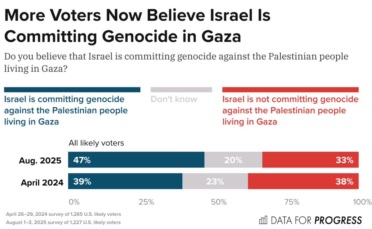 new polling shows it’s not just democratic voters calling what’s happening in gaza a genocide anymore — likely voters believe it is by a 14-point margin