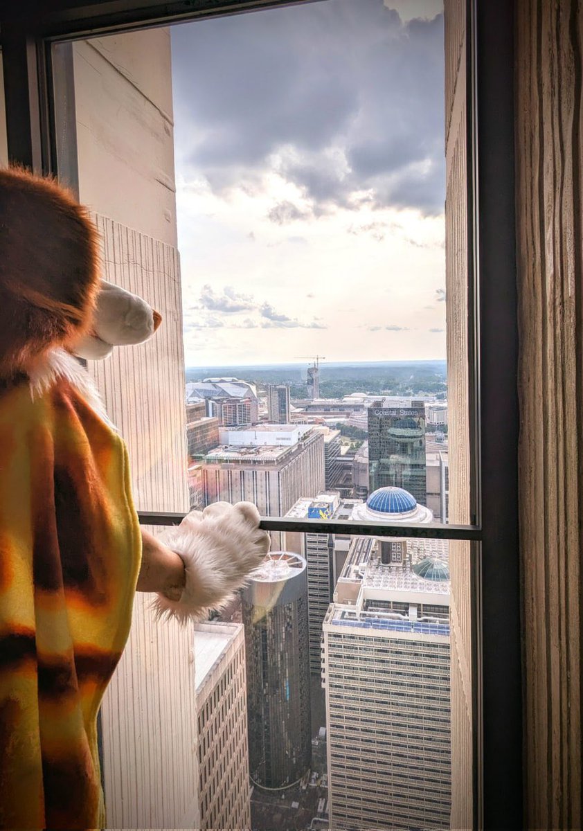 ✨I just wanna smush someone’s face n call them a good boy er gurl alllll day 🥰 

I think yur awl doing everything just right fr 🥰🐶

#fwa #fursuiter