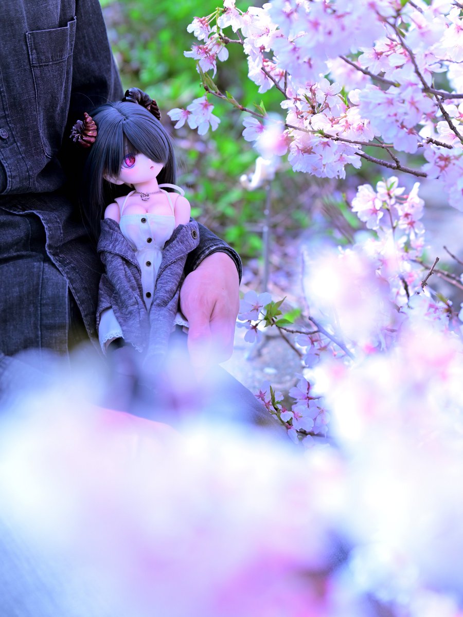 花の日 - البحث / X