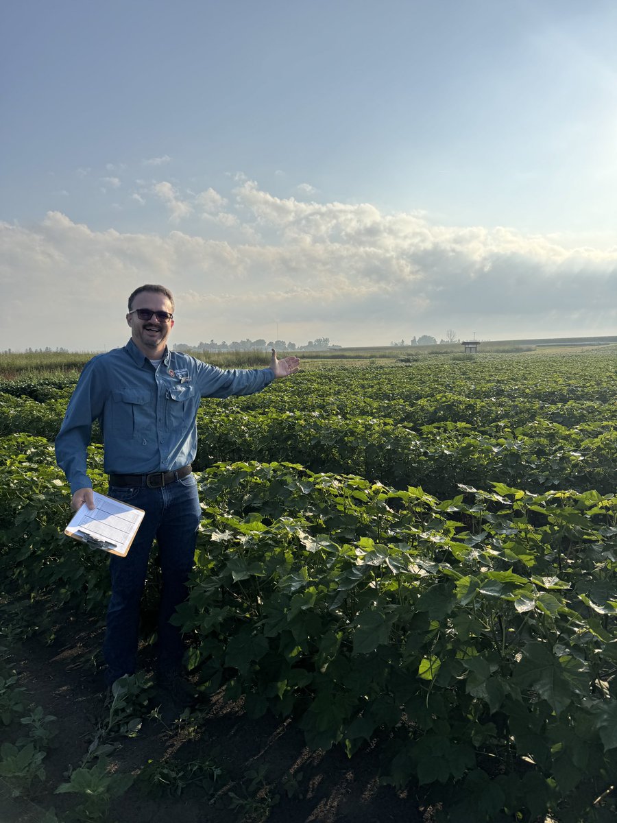 Rodrigo Werle tweet media