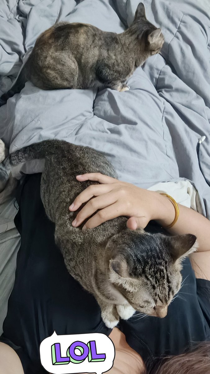 ชื่อว่าโอปอลล์✨𝟏𝟗𝟗𝟖✨ tweet media