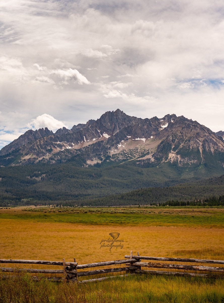 Jordan McClellan💯 tweet media