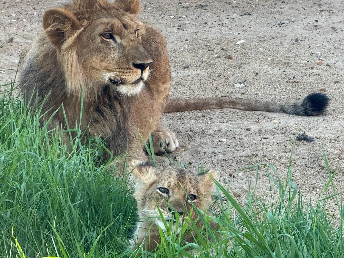МОЙ ГОРОД - ПЕРМЬ! tweet media