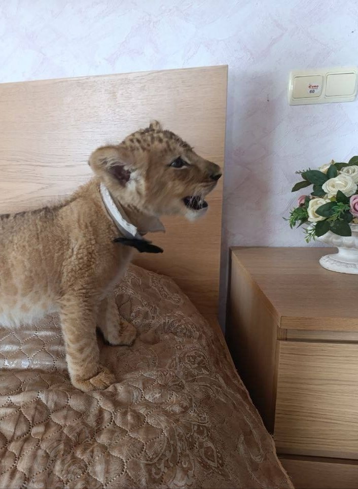 МОЙ ГОРОД - ПЕРМЬ! tweet media